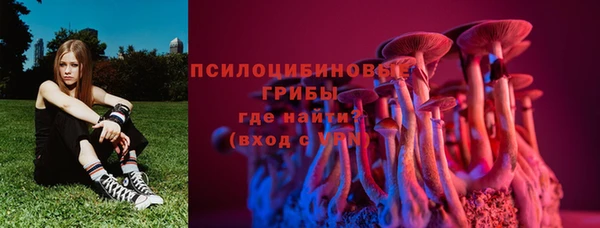 PSILOCYBIN Аркадак