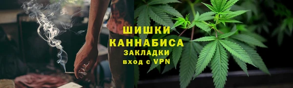 PSILOCYBIN Аркадак