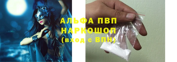 PSILOCYBIN Аркадак