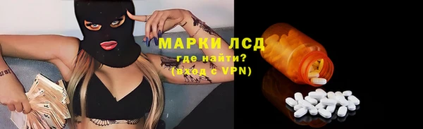 PSILOCYBIN Аркадак