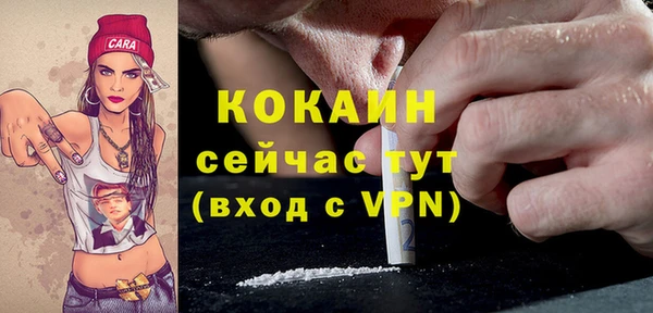 PSILOCYBIN Аркадак